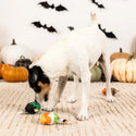 Petshop By Fringe Studio No Trick Just Treat Small Toy For Dog Set (3 pieces)