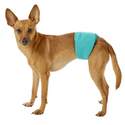 Simple Solution Washable Male Dog Wrap for Small Dogs