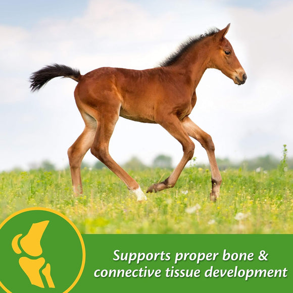 Farnam Grow Colt Growth & Development Supplement