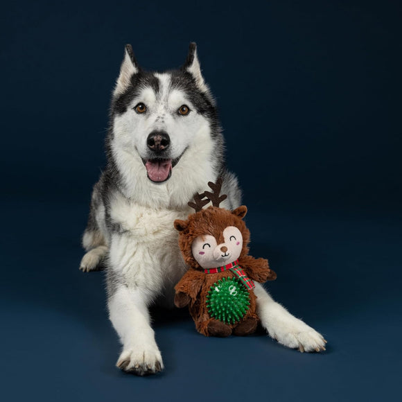 PetShop by Fringe Studio Rein It in, Pal! Plush & Squeaker Ball Toy For Dog 