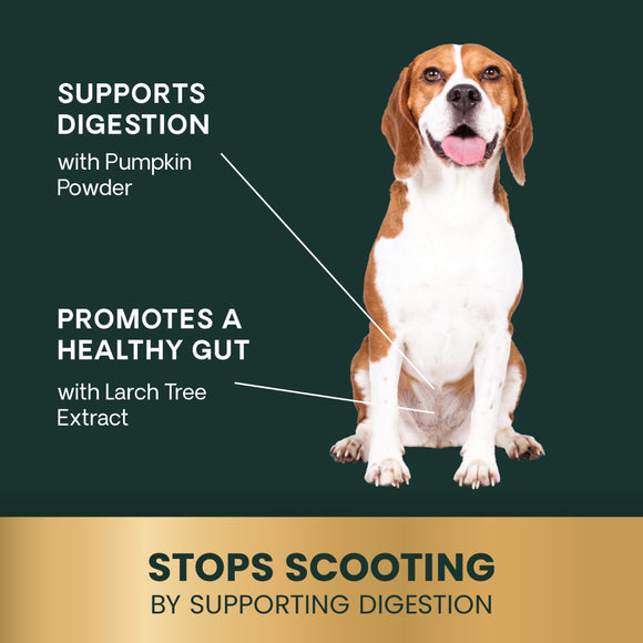 Scoot Control Sticks for Dogs