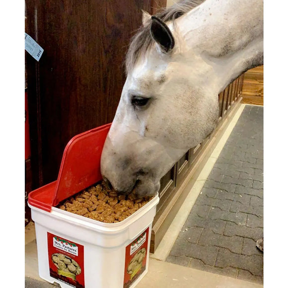 Mrs. Pastures Original Horse Cookies