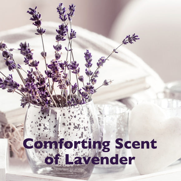 SPA by TropiClean Lavish White Coat Shampoo for Pets (16oz)