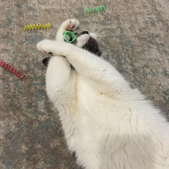 Ethical Colorful Springs Thin 10 pack Toy For Cat