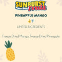 Higgins Sunburst Freeze Dried Fruit Pineapple Mango Treats For Birds 0.5 oz