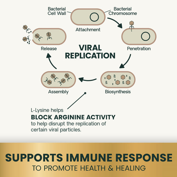 Lysine Immunity Health Chews for Cats