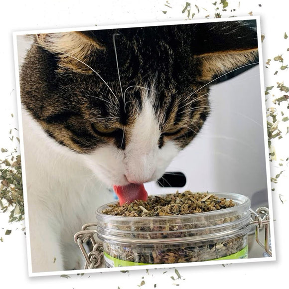 Meowijuana Catnibas Catnip Pawty Mix Premium Blend (2.11 oz)