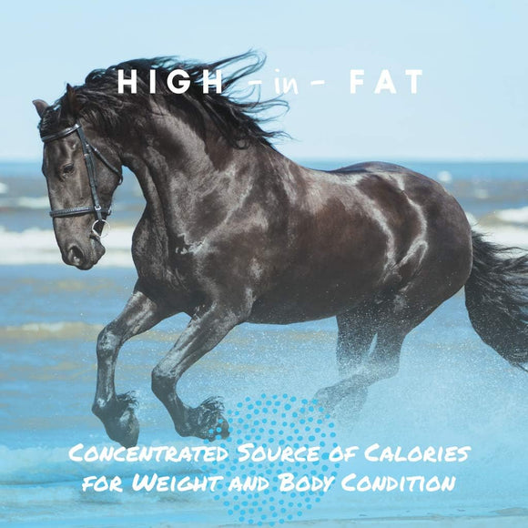 Manna Pro Cool Calories 100 Dry Fat Supplement for Horses (8 lb)