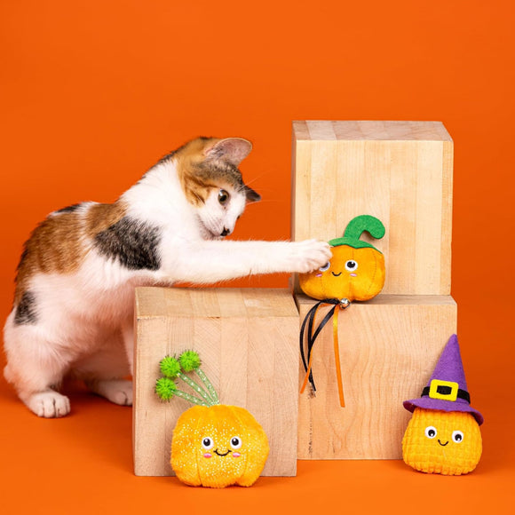 PetShop by Fringe Studio Witch of the Patch Cat Toy Set (3 pack)