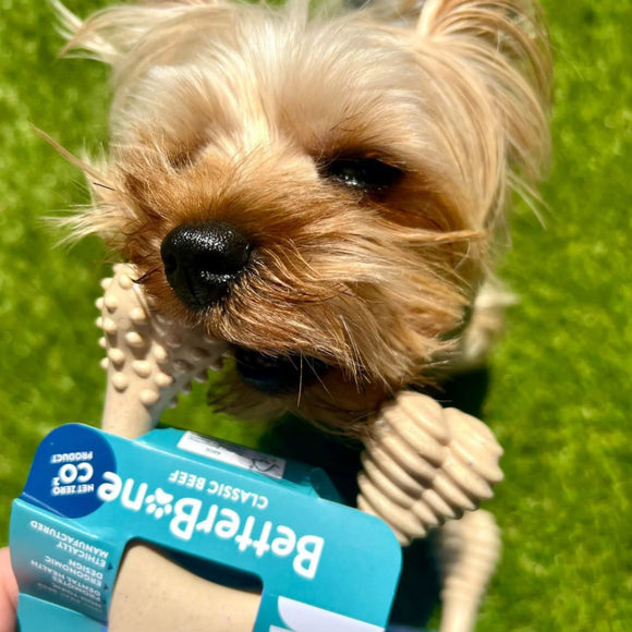 BetterBone Soft Density Classic Flavor Chew Toy For Dog