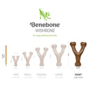 Benebone Bacon Flavor Wishbone Durable Chew Toy for Dogs-7