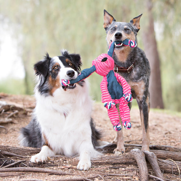 KONG Floppy Knots Fox Toy For Dog