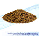 Aqueon Nutrinsect Goldfish Flakes (1.76 oz)