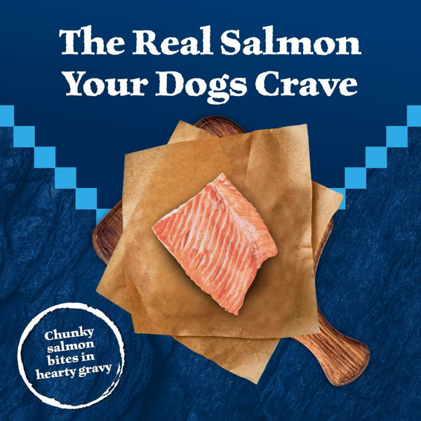 Blue Buffalo Wilderness Trail Toppers Wild Cuts Chunky Salmon Bites in Hearty Gravy Wet Food Topper For Dog (3 oz x 24 pouches)