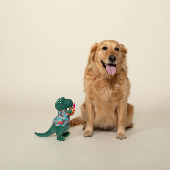 PetShop by Fringe Studio It's 5 O'Clock Somewhere Dinosaur Plush Toy For Dog