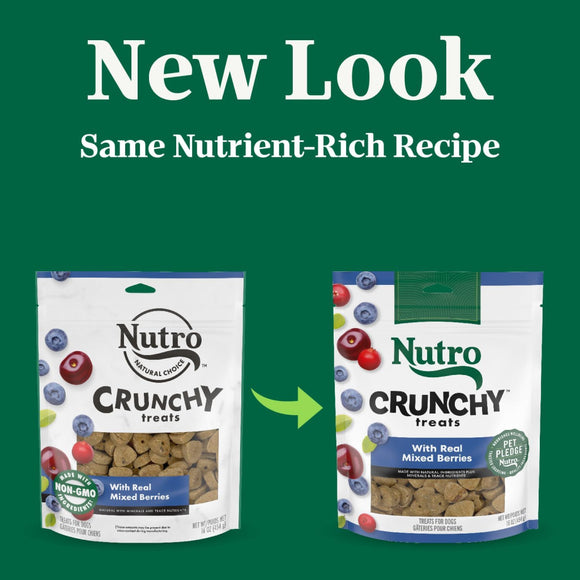Nutro Crunchy Biscuits with Real Mixed Berries Treats For Dog