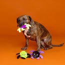 PetShop by Fringe Studio Webed in Mischief Dog Toy Set (3 pack)