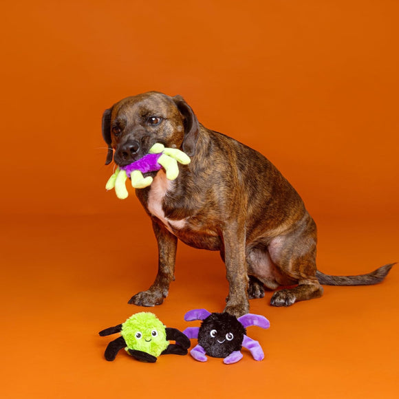 PetShop by Fringe Studio Webed in Mischief Dog Toy Set (3 pack)