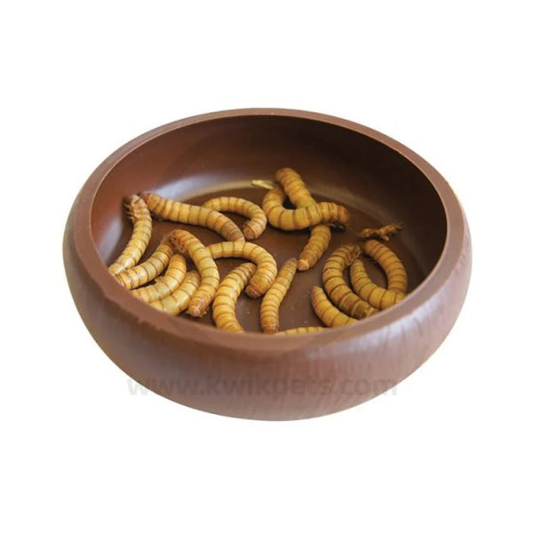 Less' Mealworm Curved Dish