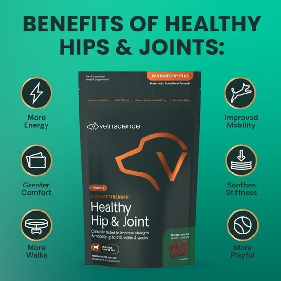 Ultimate Strength Healthy Hip & Joint Chews for Dogs Bacon Flavor