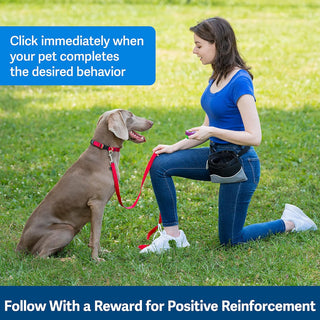 PetSafe Clik-R Training Guide Package For Dogs