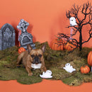 PetShop by Fringe Studio Boo-Yah Dog Toy Set (3 pack)
