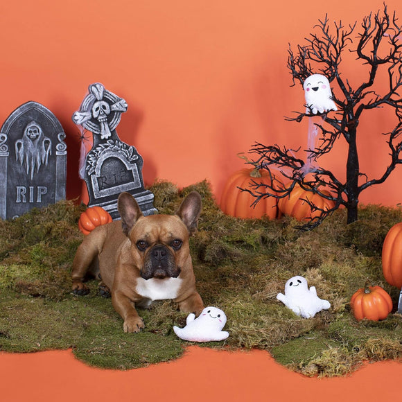 PetShop by Fringe Studio Boo-Yah Dog Toy Set (3 pack)