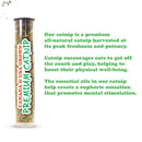 Meowijuana "Get Spooked" - Scarecrow Fillable Catnip Toy For Cat