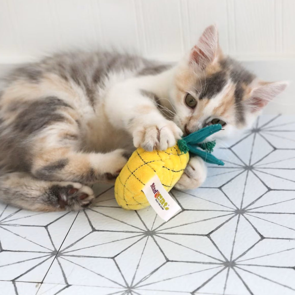 Mad Cat Purrfect Pineapple w/Catnip & Silvervine Toy For Cat