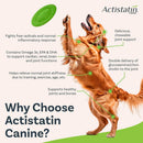 Actistatin Canine Extra-Strength Hip & Joint Soft Chews for Dogs