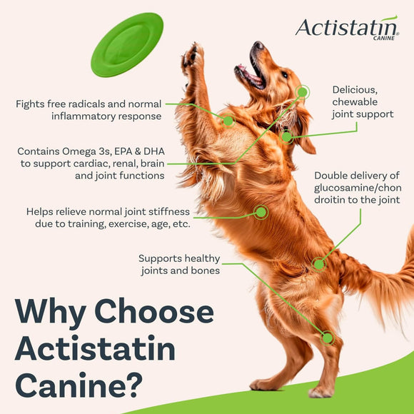 Actistatin Canine Extra-Strength Hip & Joint Soft Chews for Dogs