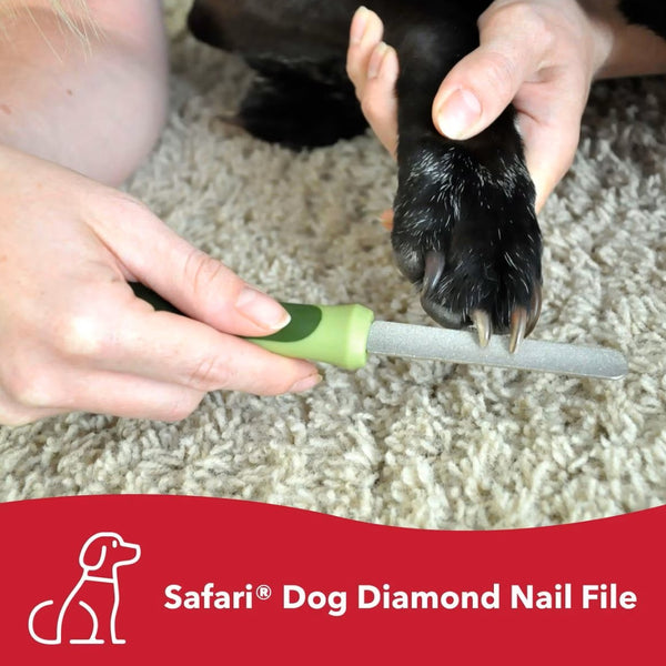 Safari Diamond Nail File for Dogs