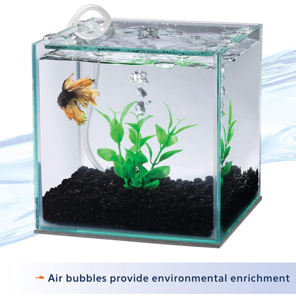 Aqueon Betta Filters (Natural Plant)