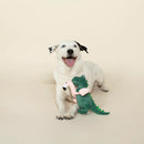 PetShop by Fringe Studio Pool Time Rex Dinosaur Plush Toy For Dog