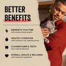 Vital Essentials  Freeze-Dried Raw Chicken Breast Treats For Cat