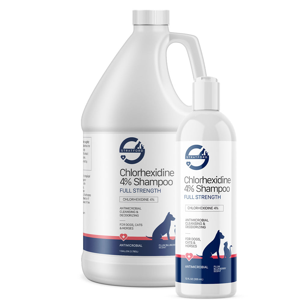 Stratford Chlorhexidine 4% Antimicrobial, Cleansing & Deodorizing Shampoo