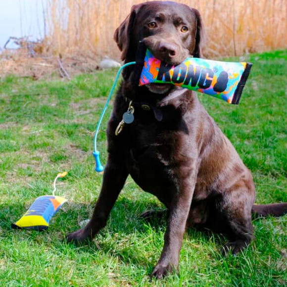 Kong Bunji High-Viz Bumper Toy For Dogs (assorted colors)