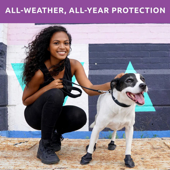 Pawz Boots For Dog (Large)