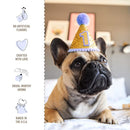 Three Dog Bakery Birthday Confetti Lick’n Crunch Golden Vanilla & Birthday Cake Cookie Treats For Puppy (13 oz)