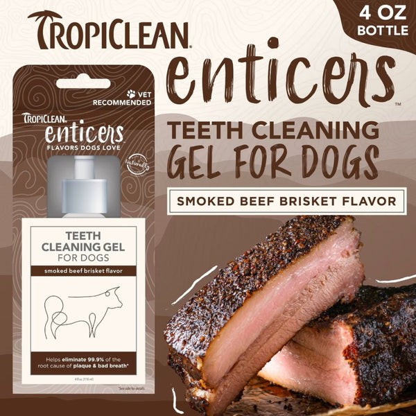 TropiClean Fresh Breath Enticers Tarter Control Kit (Smoked Beef Brisket) For Dog