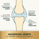 Ultimate Strength Healthy Hip & Joint Chews for Dogs Bacon Flavor