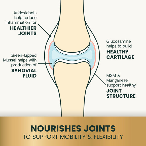 Ultimate Strength Healthy Hip & Joint Chews for Dogs Bacon Flavor