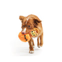 Bark Squirrel O' Lantern Plush Toy For Dog (Small)