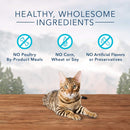 Blue Buffalo Wilderness Tasty Salmon Crunchy Treats For Cat (2 oz)