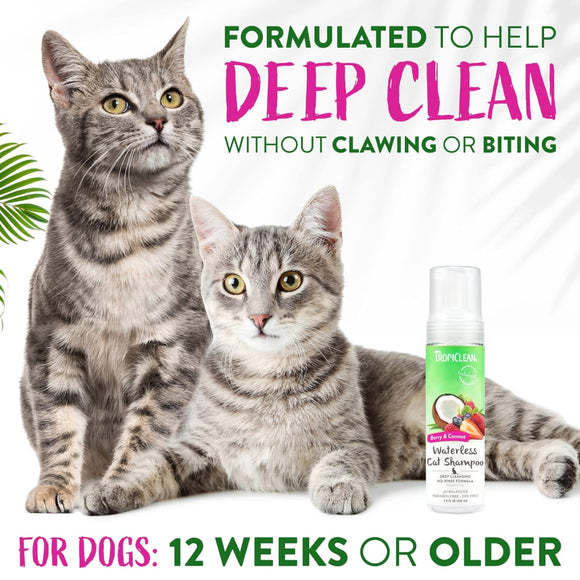 TropiClean Deep Cleansing Waterless Cat Shampoo (7.4oz)