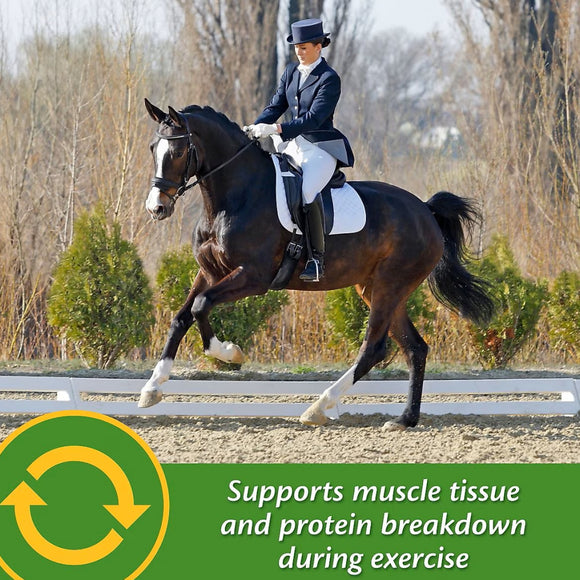 Farnam Vita Plus Balanced Multi-Vitamin & Mineral Supplement for Horses