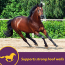 Horse Health Products Vita-Biotin Cumbles Hoof Supplement for Horses (3 lb)