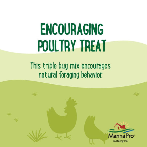 Manna Pro Farmhouse Favorites Triple Bug Mix Poultry Treat (2 lb)