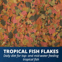 Tetra TetraMin Tropical Flakes Fish Food