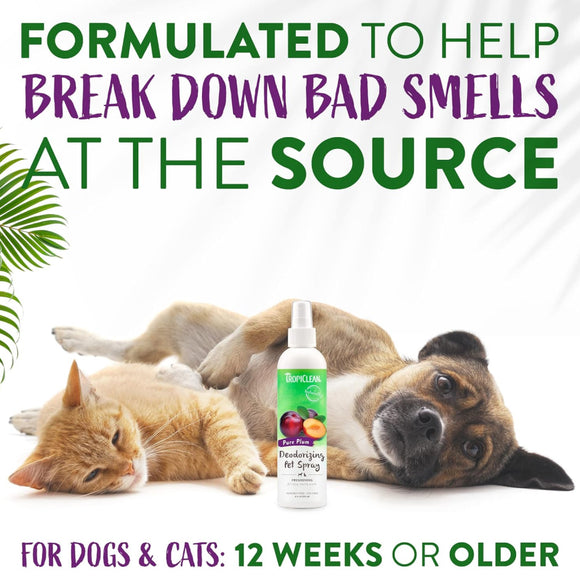 TropiClean Pure Plum Deodorizing Pet Spray For Dog & Cat (8 oz)